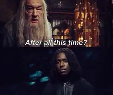 밈 화 되기시작한 흑인스네이프