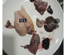 둘이 먹다 하나 죽어도 진짜 모르는 생선 내장류 레전드