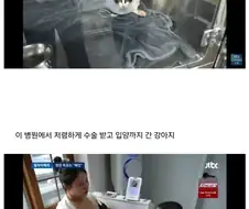 자기 병원이 망했으면 좋겠다는 수의사