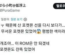 중고로 산 포켓몬 칩에 수상한 포켓몬들이 들어있었다.