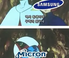 주식)도체큐어들의 체급차이