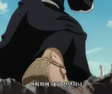 블리치) 정말 오랬동안 해먹은 석두