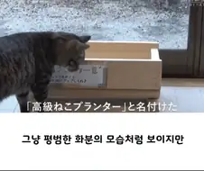발상의 전환으로 위기를 기회로 바꾼 중소기업 상품
