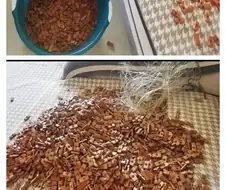 누구나 할 수 있는 대나무 장판 세척 방법