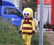 파주 일산 꿀벌이 활동 중단