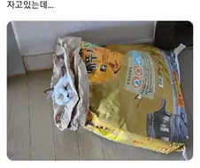어휴 애한테 좋은 거 사줘서 뭐합니까
