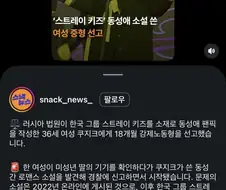 ‘스트레이키즈‘ 보이그룹 동성애 소설 쓴 여성 강제노동형