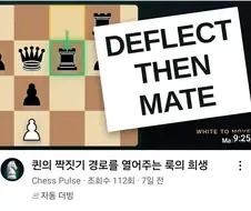 여왕이 짝짓기 하는걸 도와주는 가신