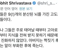 문어가 고지능 동물이면서 지배적인 종이 못되는 이유