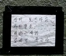 선/이/보/인/다.jpg