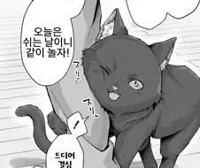 고양이 애교를 함부로 받아주면 안되는 이유.manga