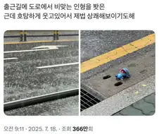 출근길에 비 맞는 인형을 봤다