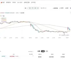 [주식] 삼성전자 234,750 +1.84% 회장님 상승~!~!~!~!