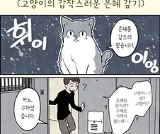 고양이의 은혜 갚기