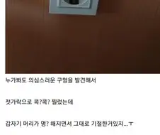 족발 먹고 싶게 만드는 글