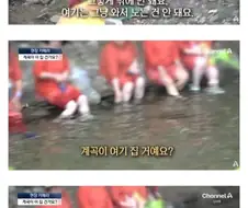 아직 건재한 양아치들