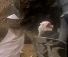 Fate) FGO의 리처드 1세는 몬티 파이튼의 성배를 본 적이 있다?