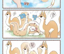 대롱여우들, 집합!.manhwa