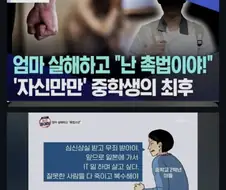 일뽕 형님들이 요상하게 환상을 가진 분야