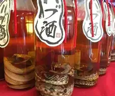 약혐)누가 만약 이거 만취할 정도로 마시면 1억 준다고 하면 마심?