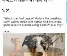 "왜 마리오는 게임 내내 거북이들을 죽이고 다니는거야? 왜?"