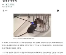 상대를 "싫어하는" 감정을 제거한 쥐 생물 실험이 성공