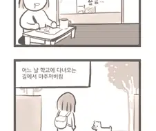 낯선 강아지.manhwa