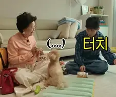 시각장애인이신 한솔 이분 강아지 웃기네 ㅋㅋㅋ