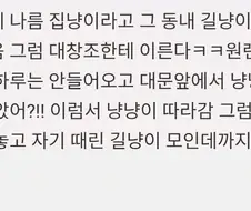 시골서 할머니손에 자란 외출냥이들 특