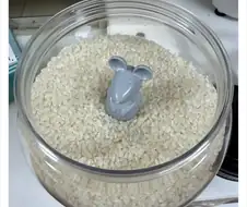 쌀독에 빠진 쥐