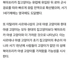 외래종인 고양이의 특정 품종에 대해 자연발생종이라 하는 이유