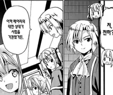 어느 왕자가 공주가 되버린 일