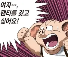 드래곤볼) 소원 사용법가지고 욕하는건 안분이 맞는게