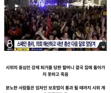 스페인 강제퇴거 사건은 좀 복잡한 것 같은데