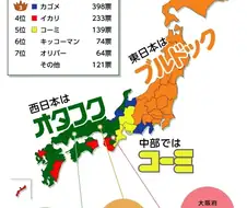 일본 전국 인기 소스 랭킹.jpg