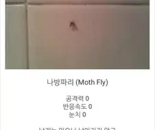 나방파리 스탯
