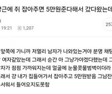 쥐 잡으면 5만원 준대서 갔는데