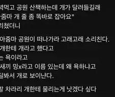 개보고 개라고 했다고 욕먹음