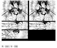 국내로 정발된 만화들 검열...manga