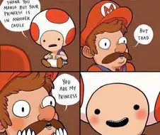 마리오가 피치공주를 구하러 온 만화.manga