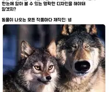 동물 만화 특)