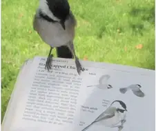 내 사진 보고있는거야?