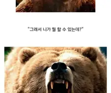 곰을 만나면 죽은척 해야 하는 이유
