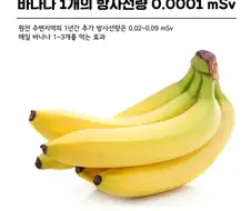 방사선을 이야기할 때 바나나가 나오는 이유