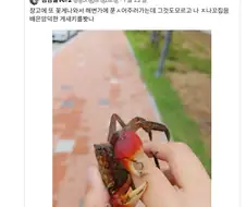 구해줬더니 이게 배은망덕한게 꼬집음