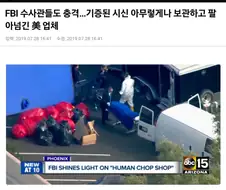 인류애 소멸하는 사건