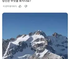 좌뇌우뇌 활성정도 비교하기
