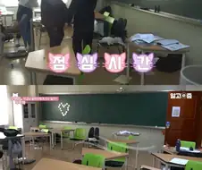 울산과학고의 고양이...