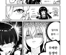 [@] 극월 아이돌은 뭘까