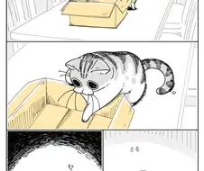 고양이 만화) 큐루가는 귀엽다.